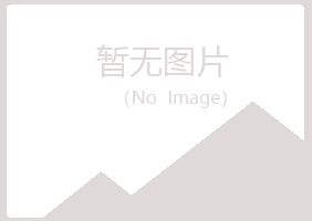 鹤岗兴山青筠计算机有限公司